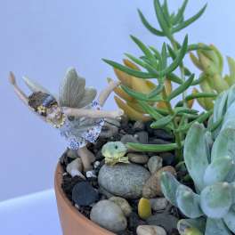 Succulent Fairy Garden