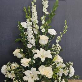 Peaceful White