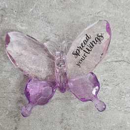 Pink translucent butterfly ornament with the words "Spread your Wings"