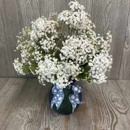 White baby's breath arrangement in a dark vase with a blue ribbon