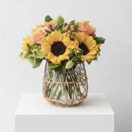 Sunflowers and Roses