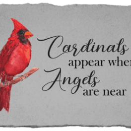 Cardinal illustration with the words "Cardinals appear when Angels are near"