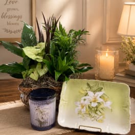 Lily Garden Retreat