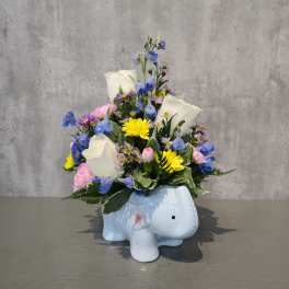 Baby Elephant