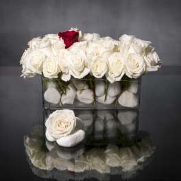 One of a Kind