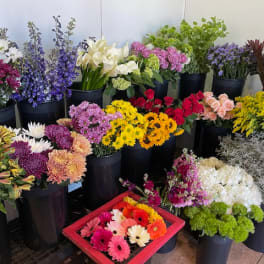 Assorted flower buckets with colorful blooms and a tray of gerbera daisies