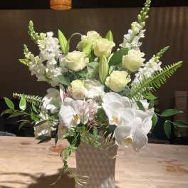 White Orchid Dreams