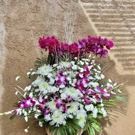Basket arrangement of white chrysanthemums and magenta orchids
