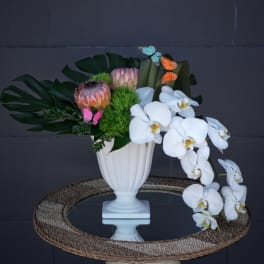 White orchids and pink protea in a white vase with decorative butterflies