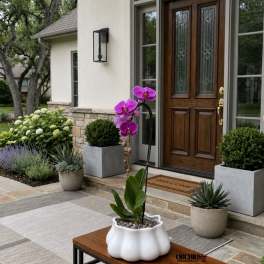 Potted purple orchid on a bench outside a front door