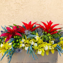 Bright tropical flower arrangement in a rectangular container