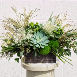 Succulent arrangement with green berries and airy grasses in a rectangular container