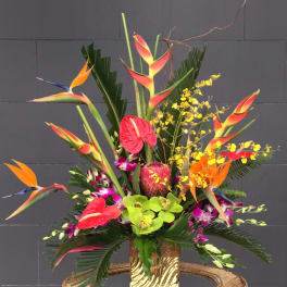 Tropical floral arrangement with birds of paradise, orchids, anthuriums, and protea in a gold vase