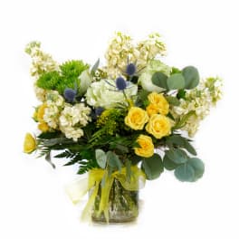 Yellow roses and white flowers in a glass vase with a ribbon