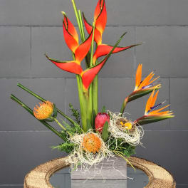 Tropical floral arrangement with orange bird-of-paradise and protea in a box