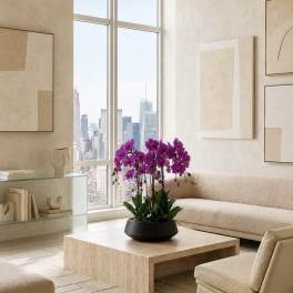 Potted purple orchids on a coffee table in a beige living room