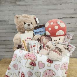 Gift basket with a teddy bear, mushroom plush, snacks, and a heart-patterned blanket