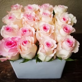 Pink and white roses arranged in a white square vase