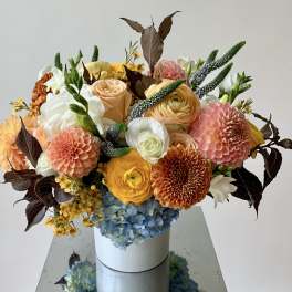 Soft Autumn