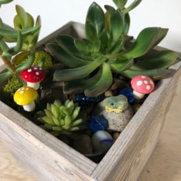 Succulent Fairy Garden DIY Kit