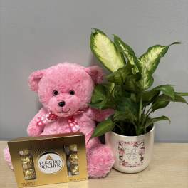 Pink teddy bear with chocolates and a potted plant in a love-themed mug