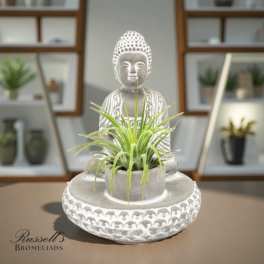 Small green plant in a white Buddha-shaped planter