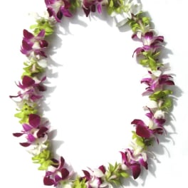 Purple and white orchid lei with green accents on a white background