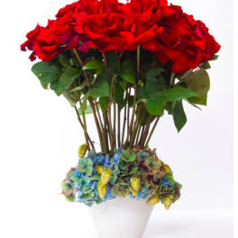 Modern Rose Masterpiece