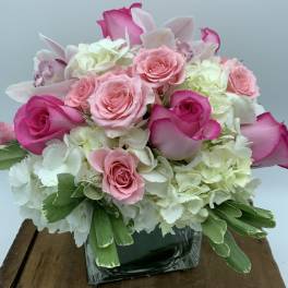 ABUNDANTLY BEAUTIFUL $120/150/180