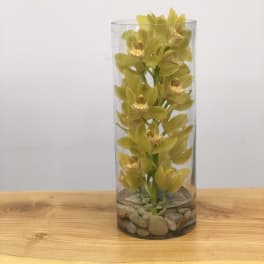 Yellow orchid stems in a tall glass vase with stones
