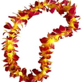 Red and yellow flower lei on a white background