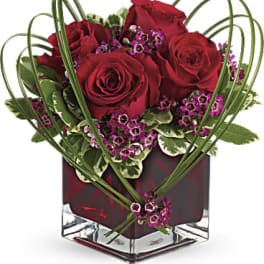 Red roses in a square glass vase with looping green stems