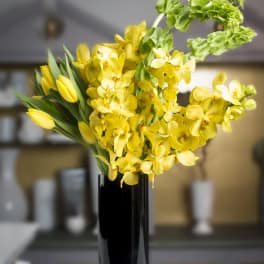 Yellow orchids and tulips in a tall black vase