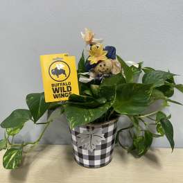 Fall Planter & BWW $15
