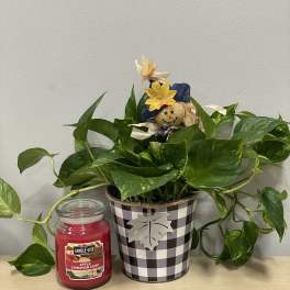 Fall planter & Apple Candle