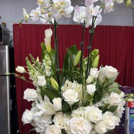 White orchid and rose arrangement in a gold vase