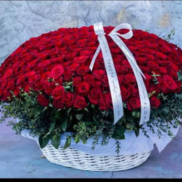 Large basket arrangement of red roses with a white ribbon