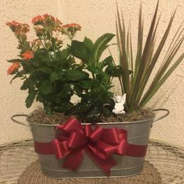 Potted flowering plant arrangement in a metal tub with a red ribbon