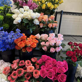 Assorted rose bouquets in black buckets with blue delphinium and white hydrangeas