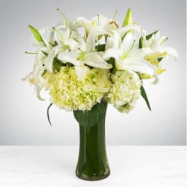 Sincere Thoughts by BloomNation™