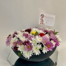 Mixed pink, white, and purple daisy bouquet in a dark bowl vase