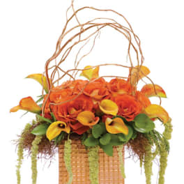 Autumn's Splendor