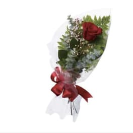 Single red rose bouquet wrapped in white paper with a red ribbon