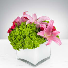 Bright & Lively by BloomNation™