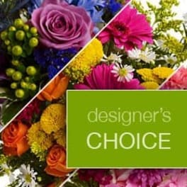 Designer's Choice - Small to Medium