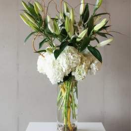 Graceful White Lilies