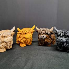 Highland Cows "Coos"
