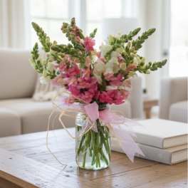Snapdragon Gathering (colors vary)