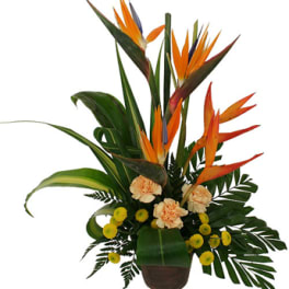 Tall tropical arrangement with orange bird-of-paradise and yellow flowers in a dark vase