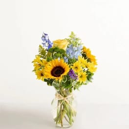 Fields Of Europe® Summer